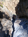 Salamander Canyon, California